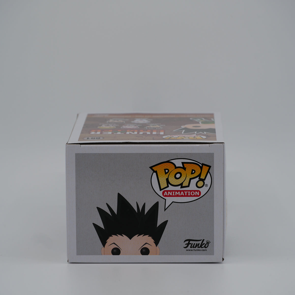 Funko Pop! Gon Freecss #651 - Hunter x Hunter - top of the exact boxed item